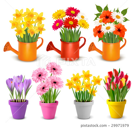 Spring and summer colorful flowers in pots  Vector 29971979