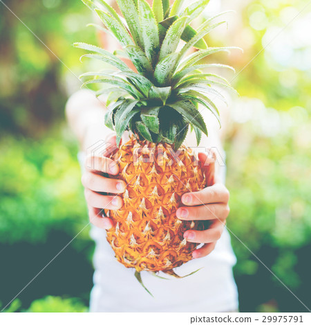 Boy Hold Pineapple Hands Summer Background Boy Hold Pineapple Hands Summer Background 29975791