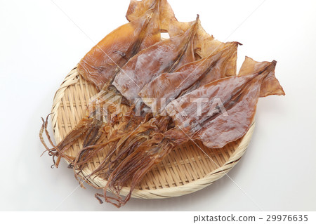 烏賊 烏賊 29976635
