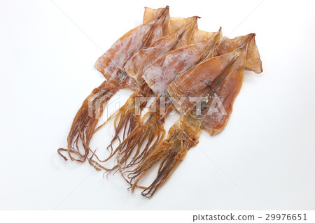 Squid 29976651