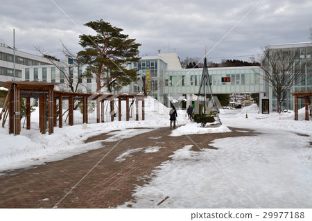 秋田步行:國立秋田大學 秋田步行:國立秋田大學 29977188