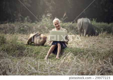 Old woman using a laptop outdoor 29977223