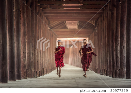 Buddhist novice are walking in temple Buddhist novice are walking in temple 29977259