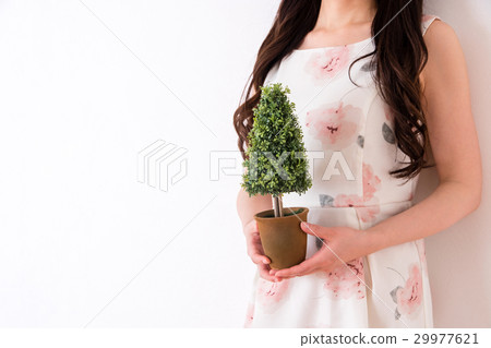 Women's Portraits 29977621