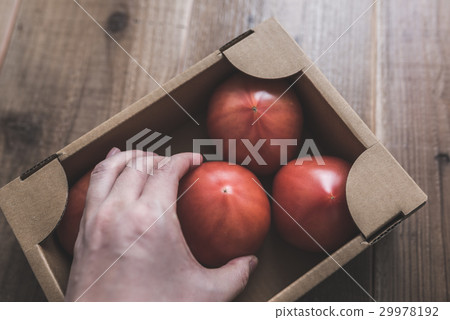 Tomato Tomato 29978192