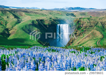 Skogafoss 29978601