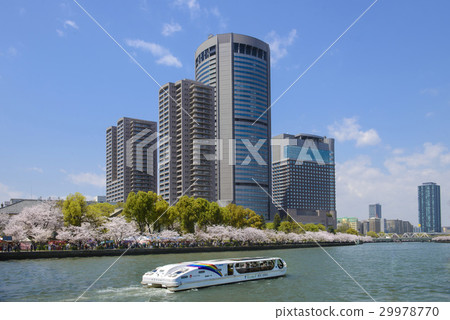 穿過春天的大川的觀光船 29978770