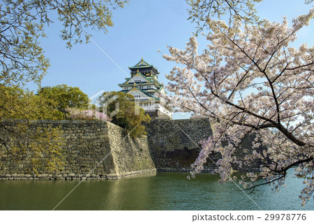 春天的大阪城 29978776