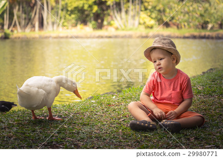 Boy and geese 29980771
