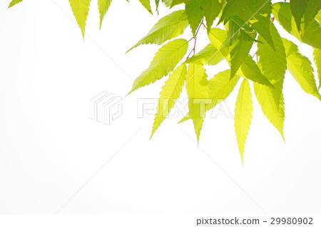 清爽的礁石3 清爽的礁石3 29980902