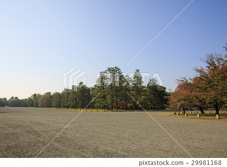 京都御所 29981168