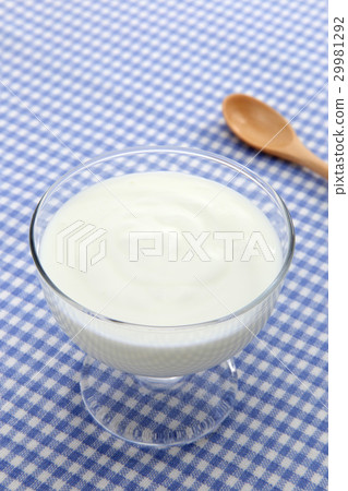 Yogurt  29981292