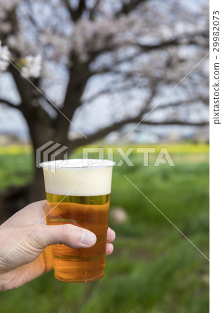 A toast with a cherry-blossom beer 29982073
