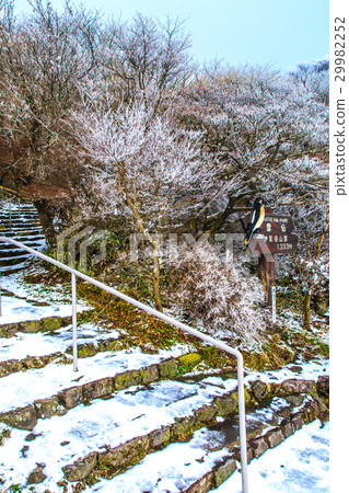 Fog ice of Mt. Mt. Unzen Nitada Pass 29982252