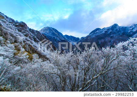 Fog ice of Mt. Mt. Unzen Nitada Pass 29982253