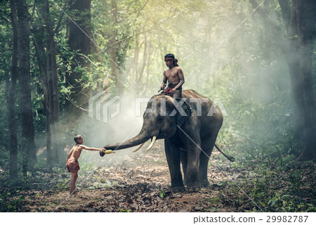 Little asian boy feeding elephant Little asian boy feeding elephant 29982787