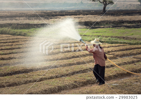 Watering 29983025