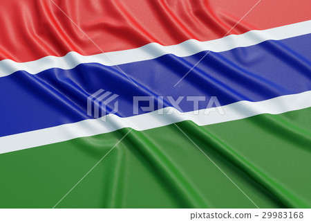 Gambia flag 29983168