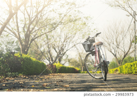 Vintage Bicycle with Summer grass field. Vintage Bicycle with Summer grass field. 29983973