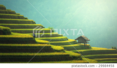 Rice fields on terraced of Mu Cang Chai Rice fields on terraced of Mu Cang Chai 29984458