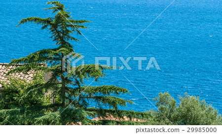 The Sicilian coast 29985000