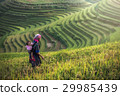 Mother and child Hmong, working at rice terraces 29985439