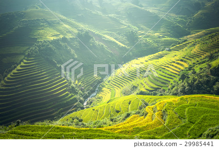 Beautiful view of rice terrace at Mu Cang Chai 29985441