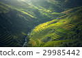 Beautiful view of rice terrace at Mu Cang Chai 29985442