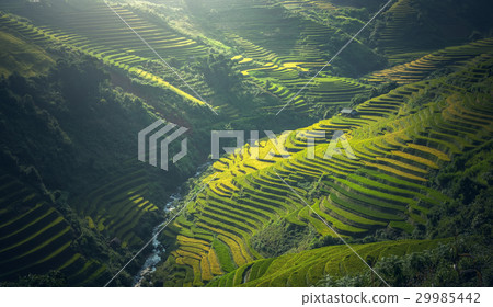 Beautiful view of rice terrace at Mu Cang Chai 29985442