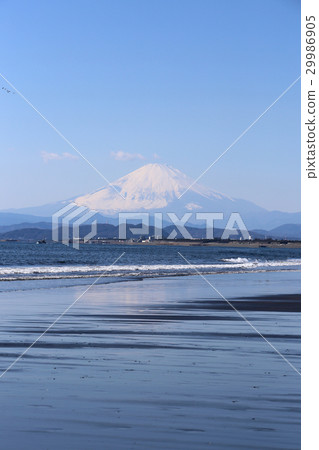 Mount Fuji  29986905