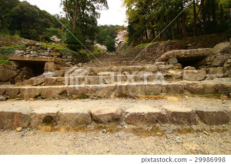 Azuchi castle ruins (stone steps) Azuchi castle ruins (stone steps) 29986998