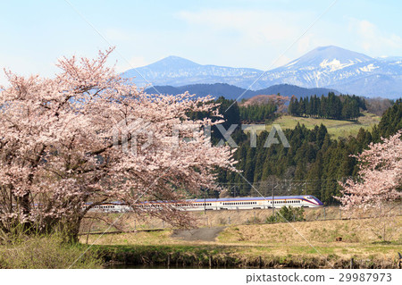 Sakura和Yamagata子彈列車 29987973