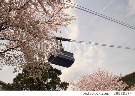 索道 索道 29988174