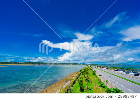 [Okinawa Prefecture] Undersea road 29988487