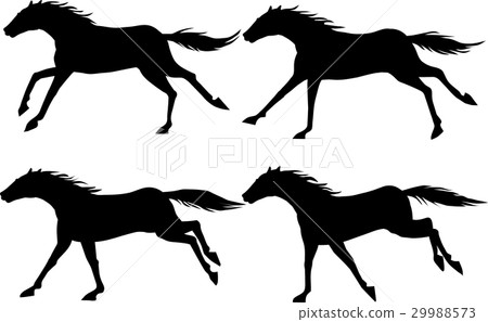 矢量 馬年 illustration 29988573