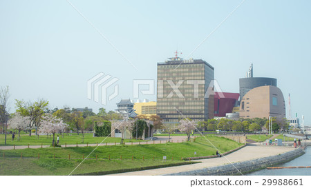 Image of spring _ Ogura Kita Ward _ Sakura 29988661