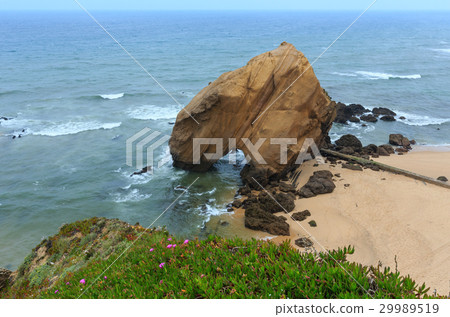 Praia de Santa Cruz (Portugal). 29989519