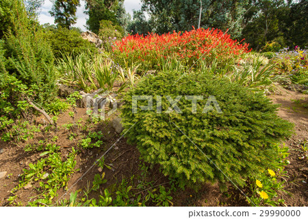 Botanical Park near sea 29990000