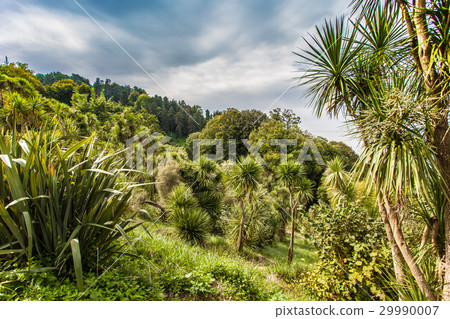 Botanical Park near sea Botanical Park near sea 29990007