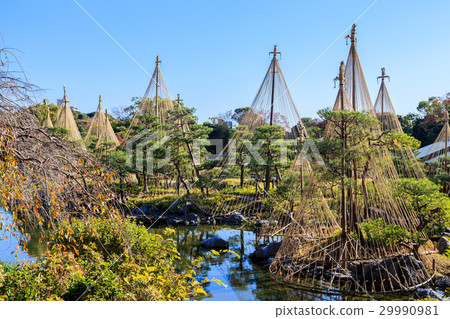 秋天天鵝庭院 29990981