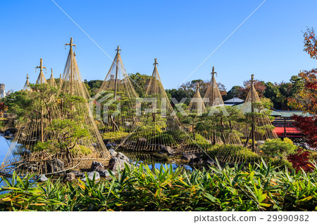 秋天天鵝庭院 29990982