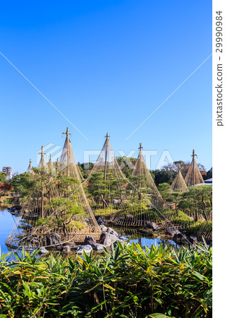 秋天天鵝庭院 29990984