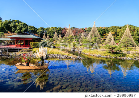 秋天天鵝庭院 29990987