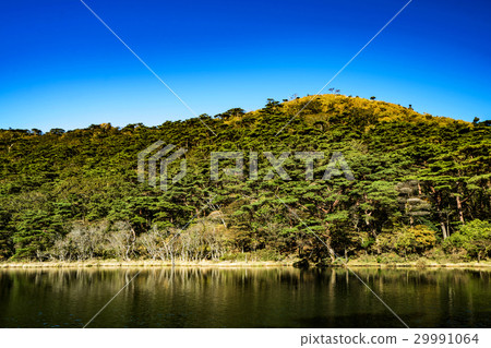 Ebino Highland White Purple Pond Ebino Highland White Purple Pond 29991064
