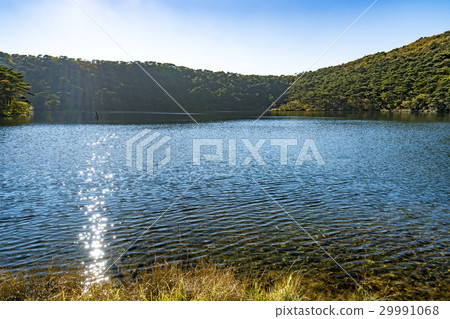 Ebino Highland White Purple Pond 29991068