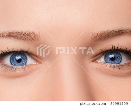 Closeup shot of woman eye with day makeup Closeup shot of woman eye with day makeup 29991309