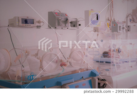 Newborn baby 29992288