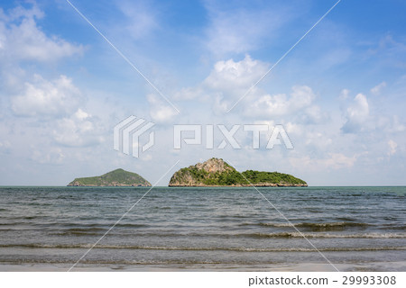 Girl at sea view from behind concept freedom rest 29993308