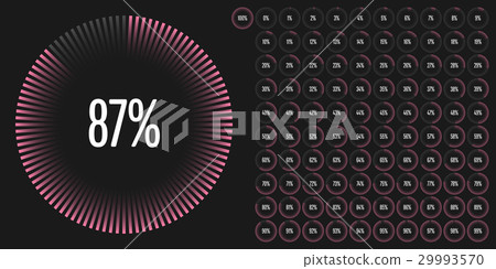 Set of circle percentage diagrams from 0 to 100 29993570
