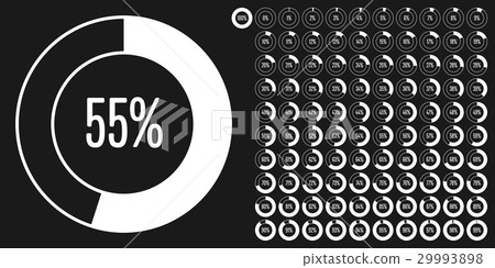 Set of circle percentage diagrams from 0 to 100 29993898